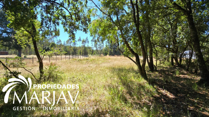 Venta de Parcela 5.000 + Galpón 112 M2, Coipúe Bajo