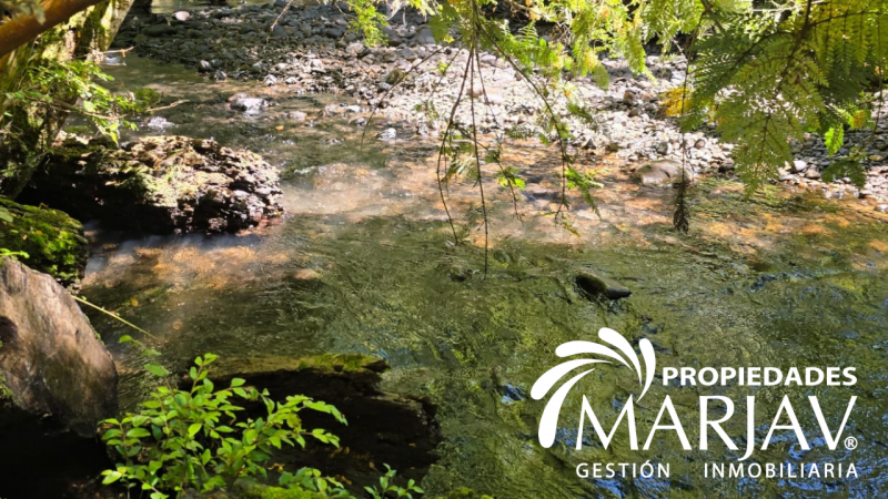 Venta Parcela 5000 M2, Estero de Quetroco