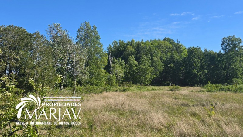 Venta Parcela 5.000 M2, 10 Minutos de Villarrica