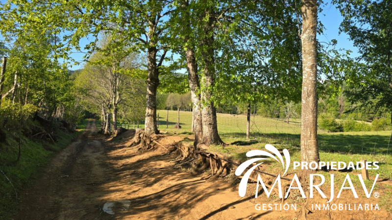 Venta Parcelas, Septima Faja , Huellanto,villarrica