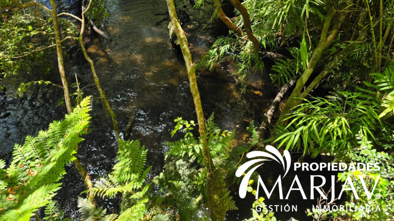 Venta Parcela 5000 M2, Estero de Quetroco