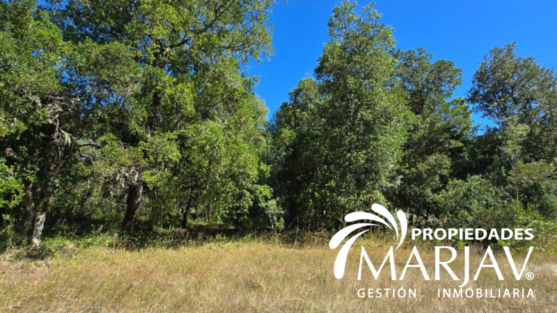 Venta de Parcela 5.000 + Galpón 112 M2, Coipúe Bajo