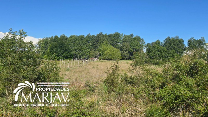 Venta Parcela 5.000 M2, 10 Minutos de Villarrica