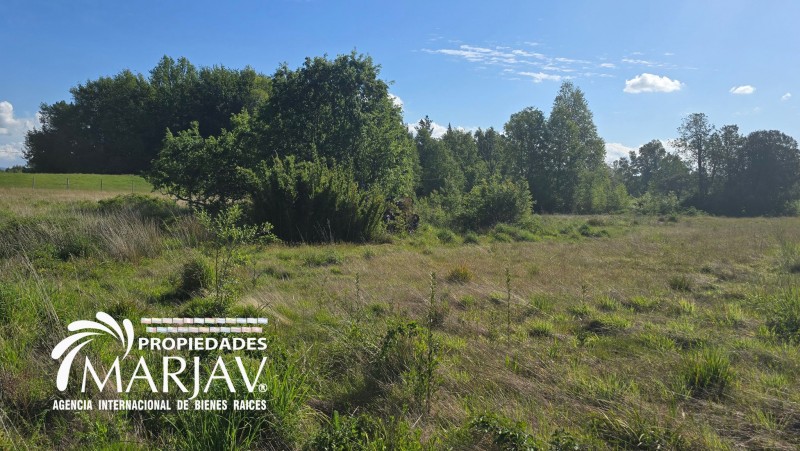 Venta Parcela 5.000 M2, 10 Minutos de Villarrica