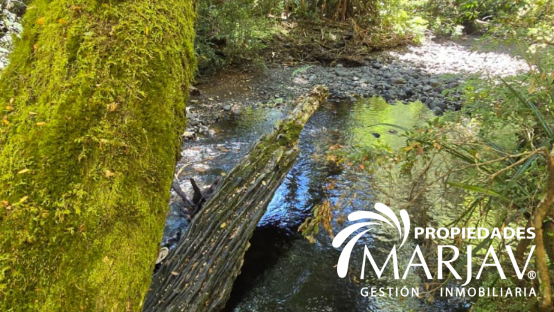 Venta Parcela 5000 M2, Estero de Quetroco