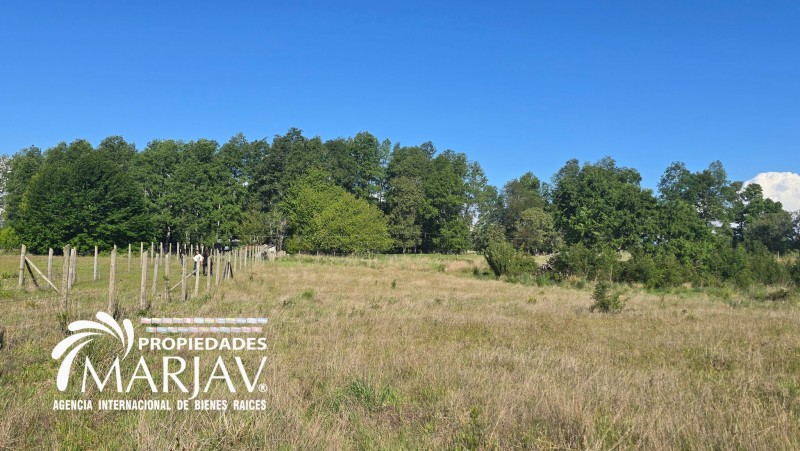 Venta Parcela 5.000 M2, 10 Minutos de Villarrica