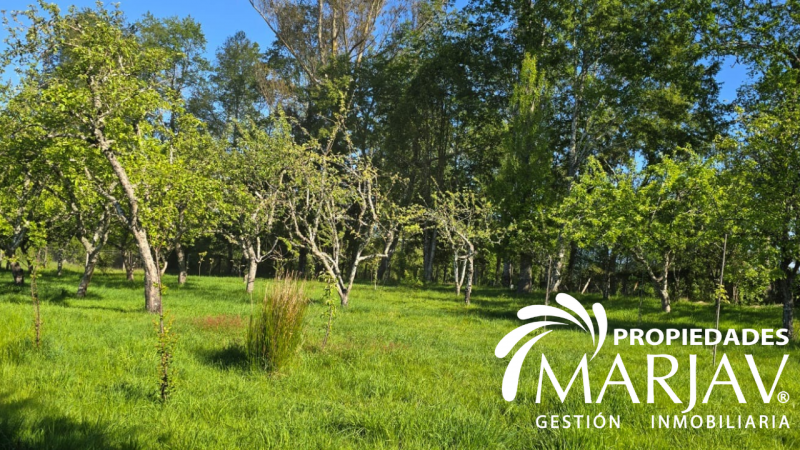 Venta Amplia Casa 4D 4B, Sector Huellanto, Septima Faja