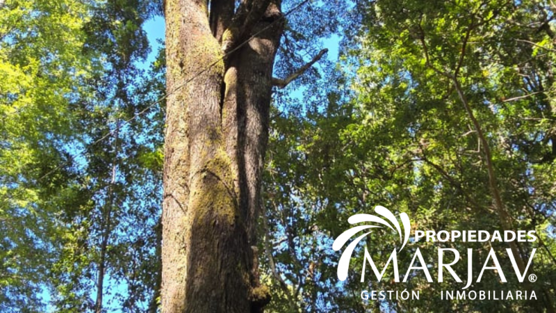 Venta Parcela 5000 M2, Estero de Quetroco