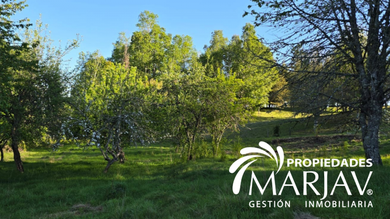 Venta Parcelas, Septima Faja , Huellanto,villarrica