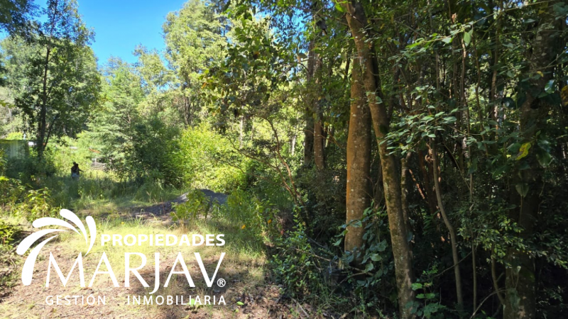 Venta Parcela 5000 M2, Estero de Quetroco