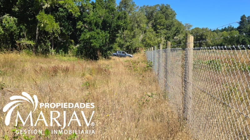 Venta de Parcela 5.000 + Galpón 112 M2, Coipúe Bajo