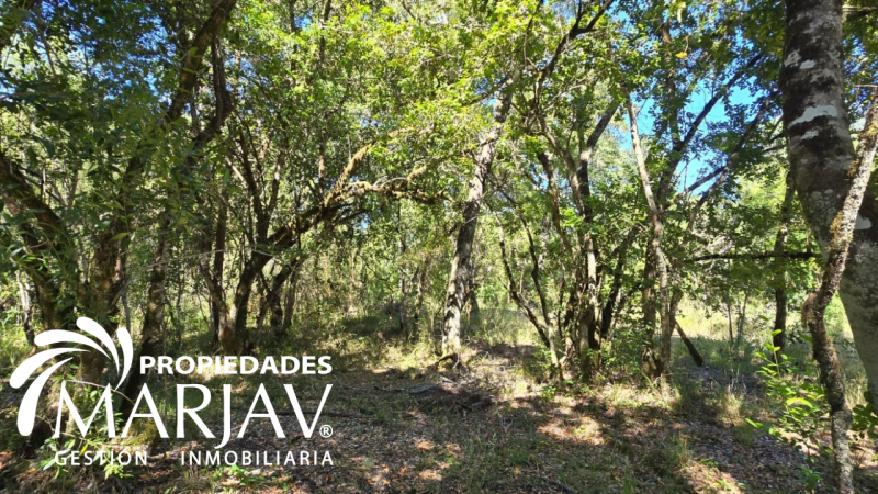 Venta de Parcela 5.000 + Galpón 112 M2, Coipúe Bajo