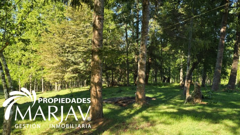 Venta Parcelas, Septima Faja , Huellanto,villarrica