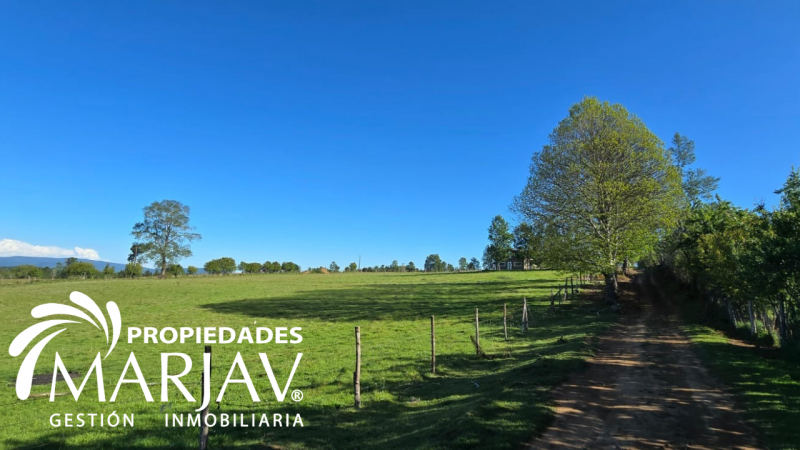 Venta Parcelas, Septima Faja , Huellanto,villarrica