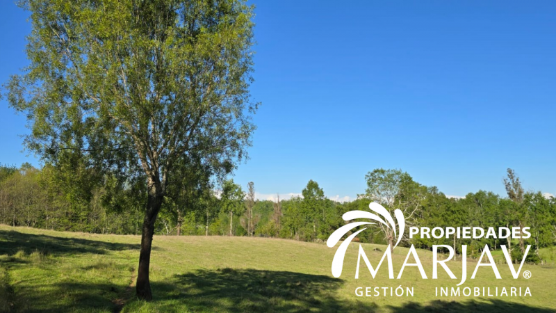 Venta Parcelas, Septima Faja , Huellanto,villarrica