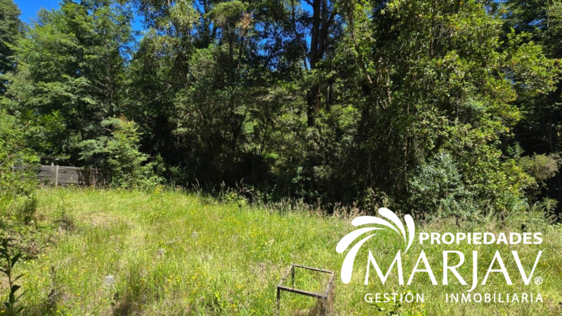 Venta Parcela 5000 M2, Estero de Quetroco