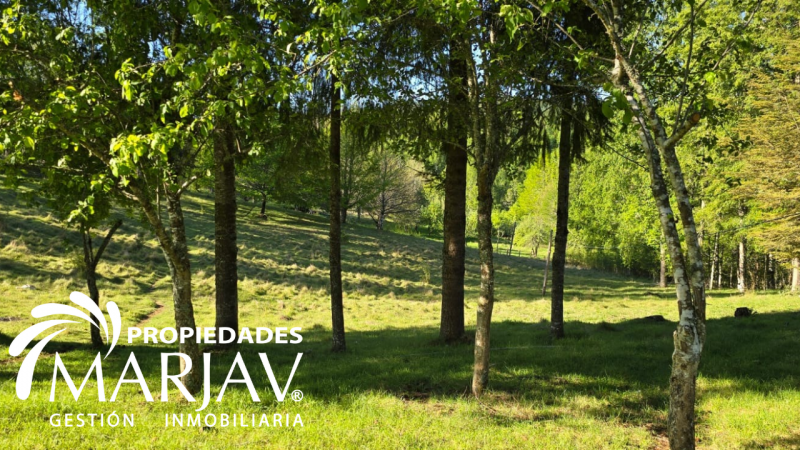 Venta Parcelas, Septima Faja , Huellanto,villarrica