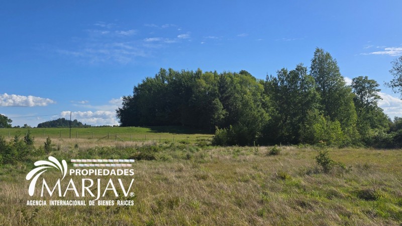 Venta Parcela 5.000 M2, 10 Minutos de Villarrica