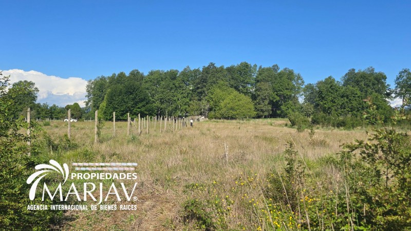 Venta Parcela 5.000 M2, 10 Minutos de Villarrica