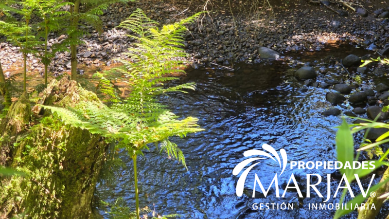 Venta Parcela 5000 M2, Estero de Quetroco