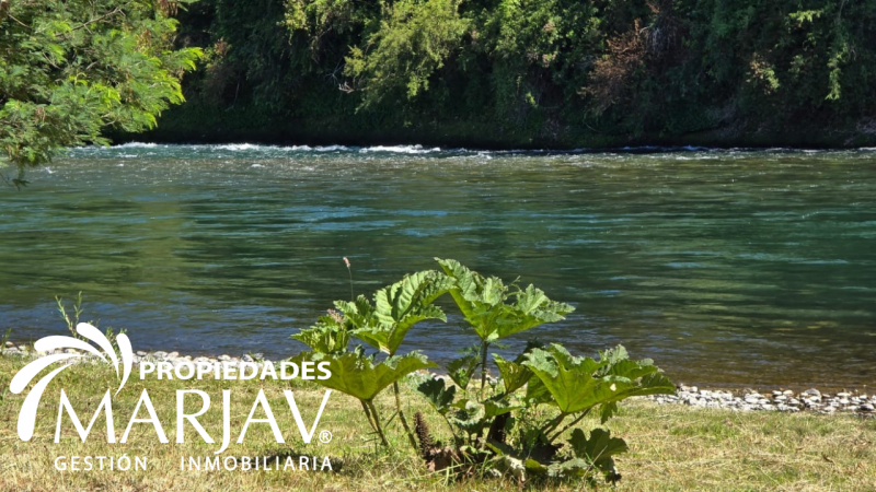 Venta de Parcela 5.000 + Galpón 112 M2, Coipúe Bajo