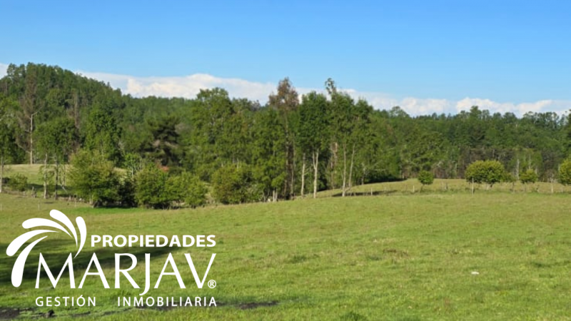 Venta Parcelas, Septima Faja , Huellanto,villarrica