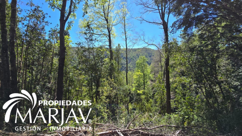 Venta Casa 3D 2B, Chesque Alto Km 10 Villarrica- Lican Ray