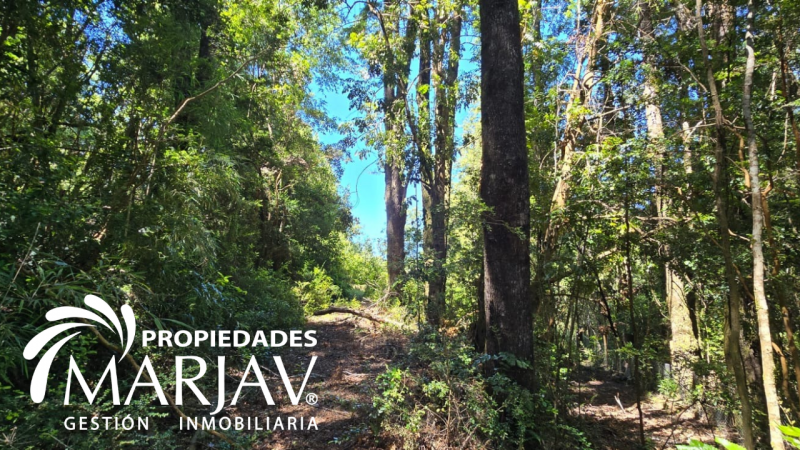 Venta Parcela 5000 M2, Estero de Quetroco