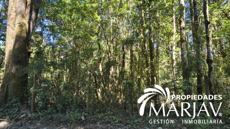 Venta Parcela 5000 M2, Estero de Quetroco