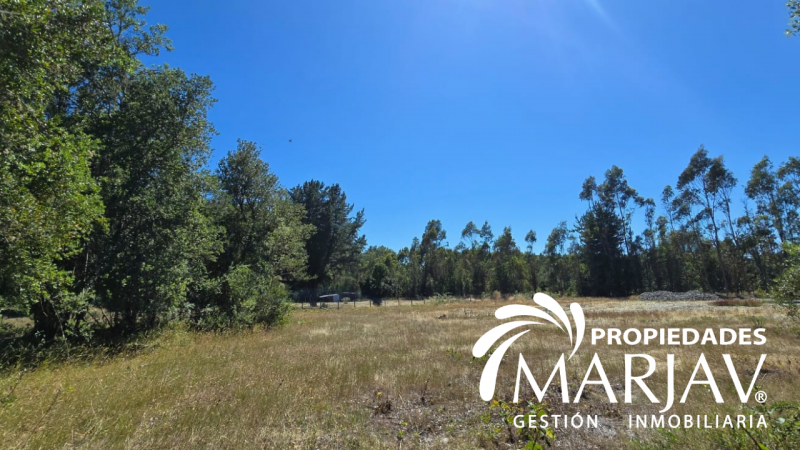 Venta de Parcela 5.000 + Galpón 112 M2, Coipúe Bajo