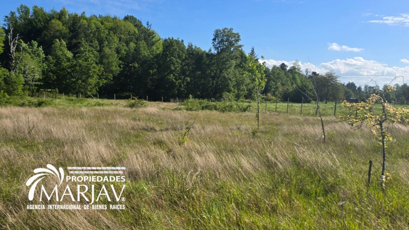 Venta Parcela 5.000 M2, 10 Minutos de Villarrica