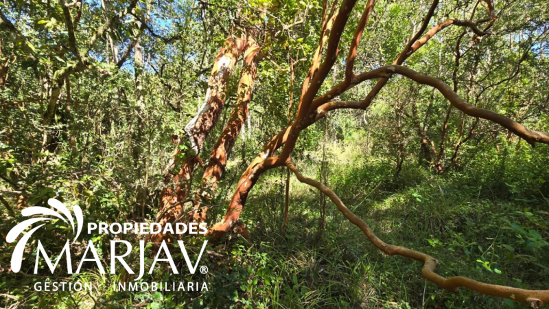 Venta de Parcela 5.000 + Galpón 112 M2, Coipúe Bajo