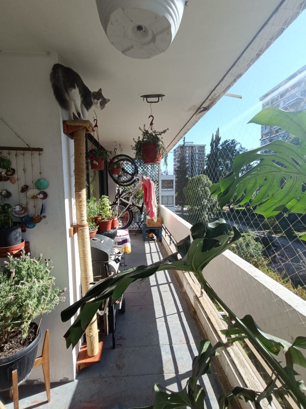 Departamento en Venta en Villa Frei Ñuñoa