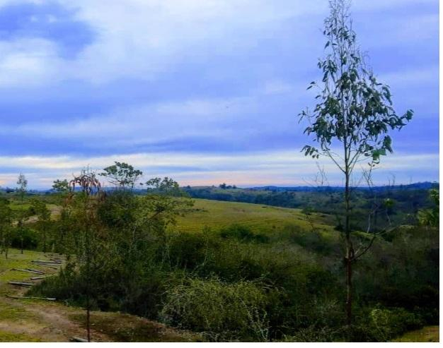 Parcela en Venta en Brisas de Topocalma, Litueche