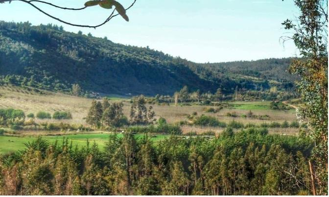 Parcela en Venta en Brisas de Topocalma, Litueche