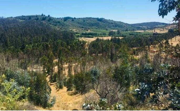 Parcela en Venta en Brisas de Topocalma, Litueche