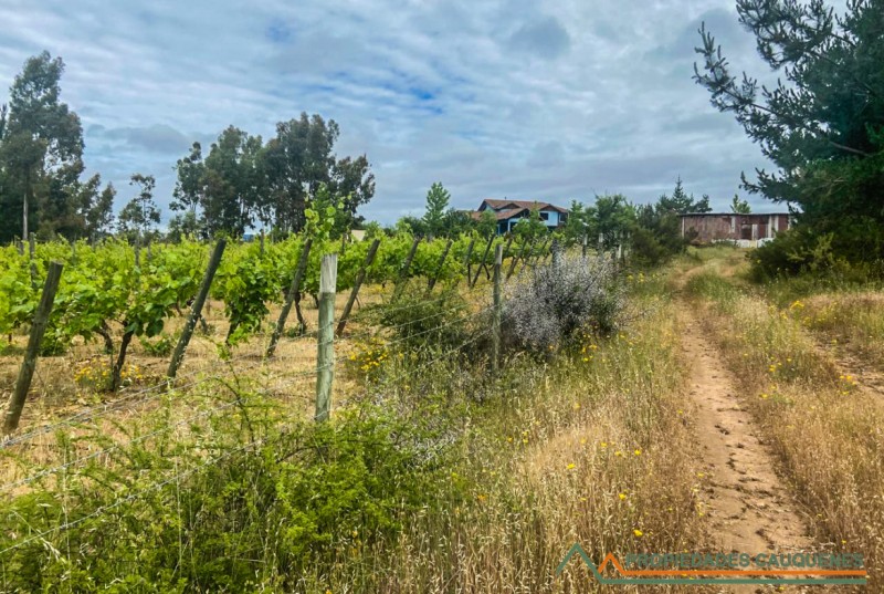 Terreno Cercano A la Ciudad, Sector la Posada