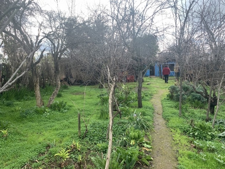 Gran Terreno Con Casa, A Pasos del Nuevo Hospital