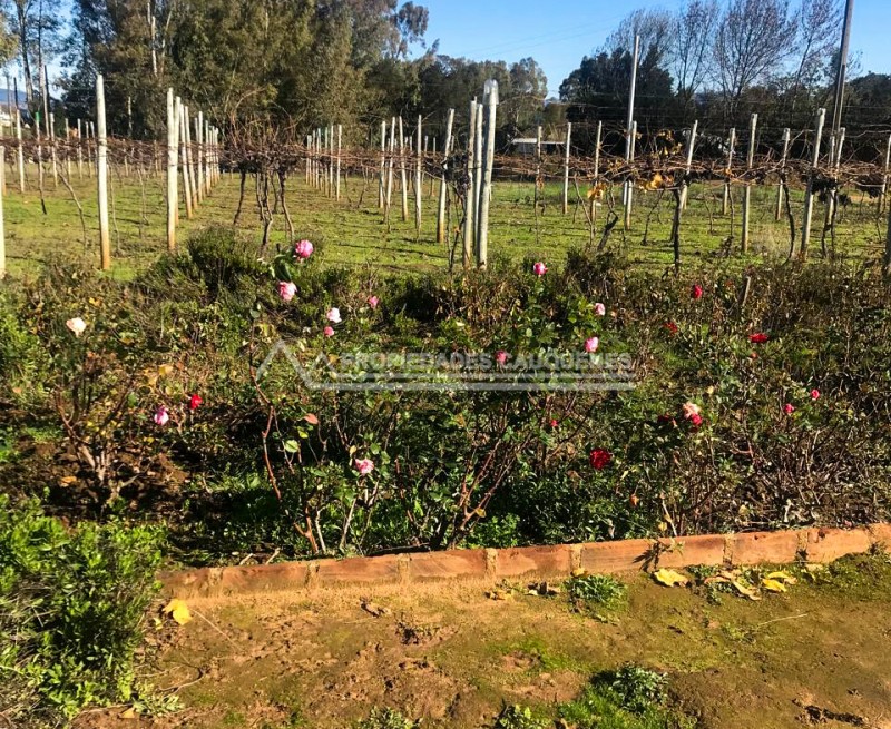Parcela Agrícola Con Casa y Abundante Agua Sector la Posada