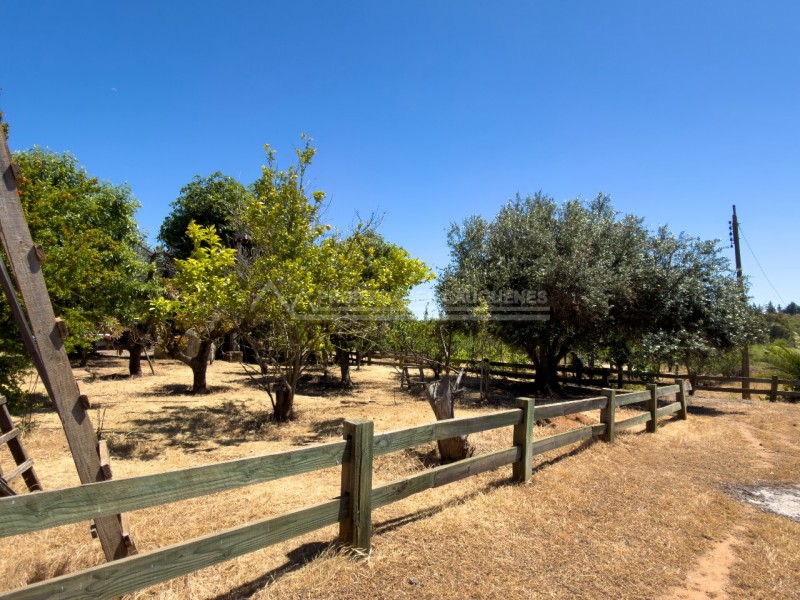 Casa en Arriendo en la Higuera, Cauquenes