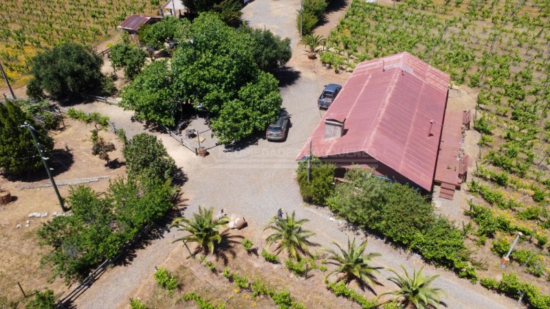 Casa en Arriendo en la Higuera, Cauquenes