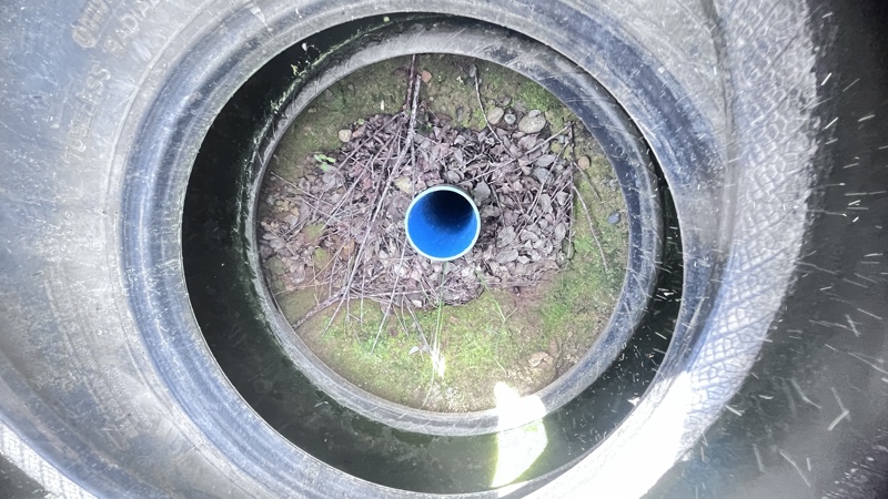 Parcela de 7 Ha Con Casa, Maravilloso Entorno Natural
