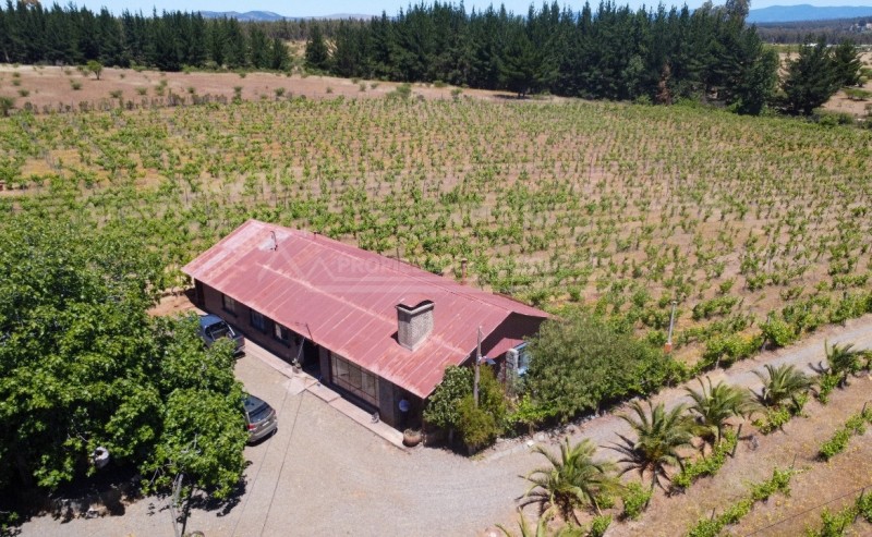 Precioso Campo Con Casa en la Higuera, Cauquenes