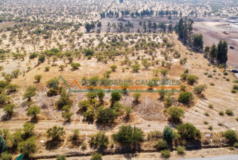 Exclusivo Terreno en Ruta los Conquistadores