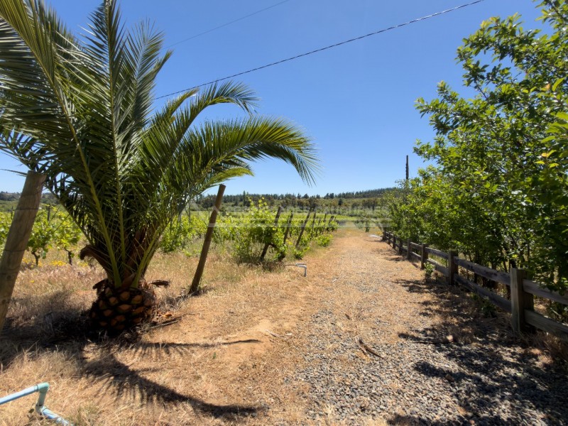 Casa en Arriendo en la Higuera, Cauquenes