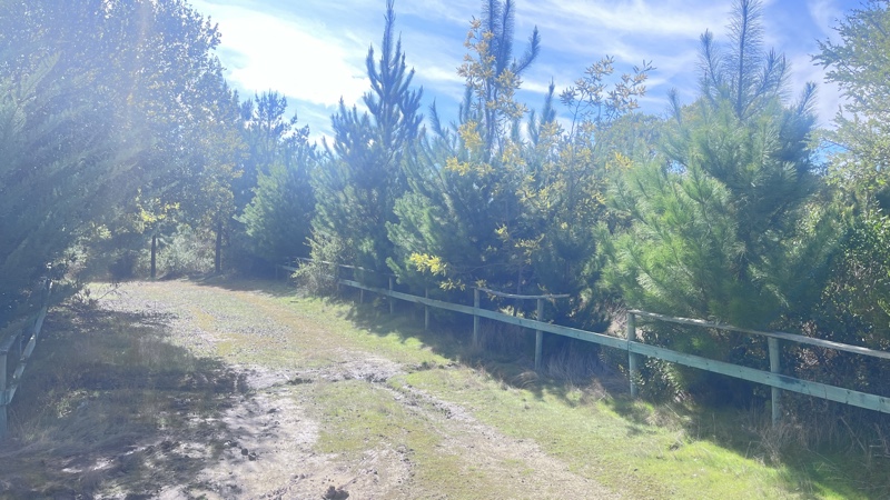 Parcela de 7 Ha Con Casa, Maravilloso Entorno Natural