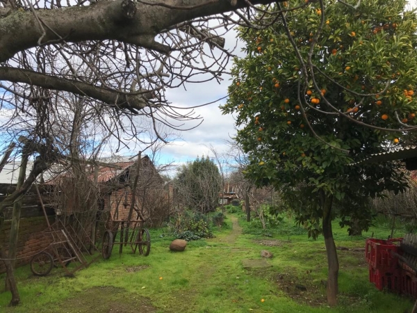 Gran Terreno Con Casa, A Pasos del Nuevo Hospital