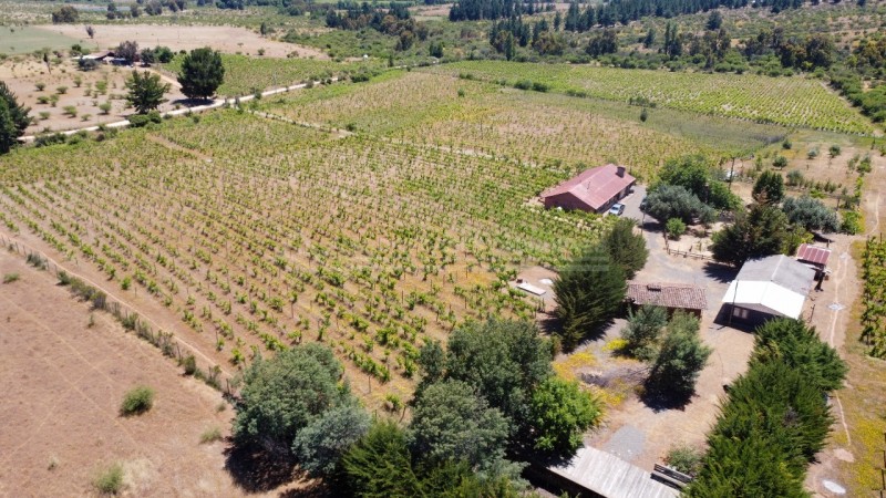 Casa en Arriendo en la Higuera, Cauquenes