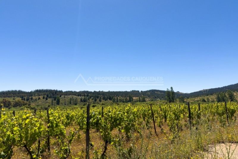 Precioso Campo Con Casa en la Higuera, Cauquenes