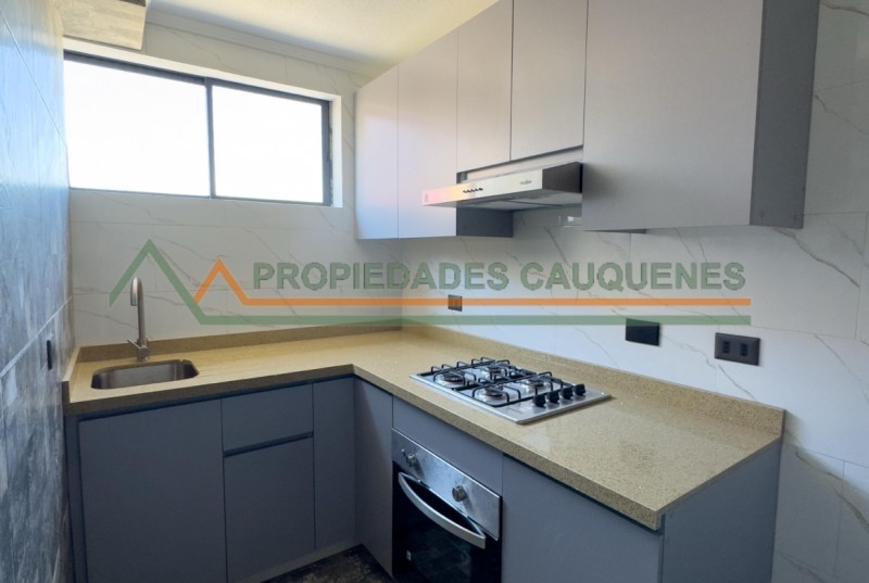 Departamento Completamente Remodelado en el Centro